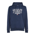 TJM REG ENTRY GRAPHIC HOODIE